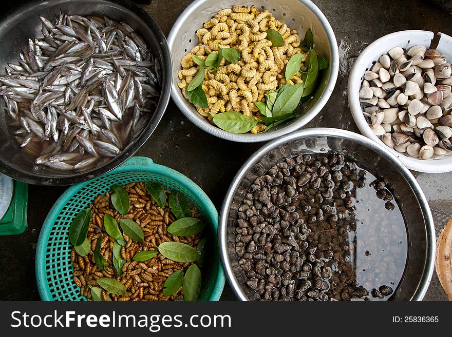 Fresh fish and maggots at a Vietnamese market place