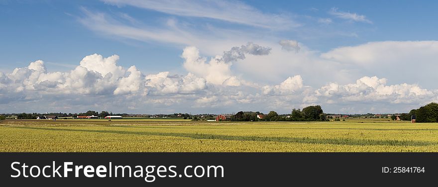A panorama shot of a field. A panorama shot of a field