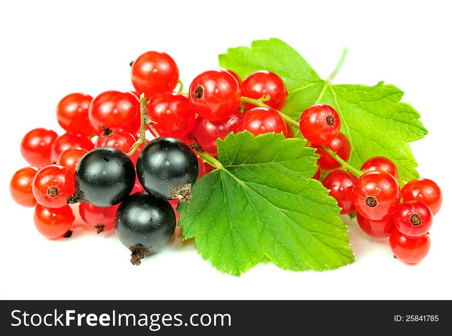 Red and black currants with green leaves on a white background