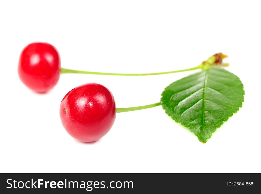 Two red cherries with a stem and green leaf on a white background. Two red cherries with a stem and green leaf on a white background