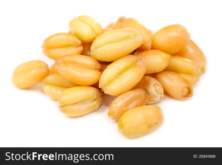 A macro shot of a small pile of wheat grains isolated on a white background. A macro shot of a small pile of wheat grains isolated on a white background
