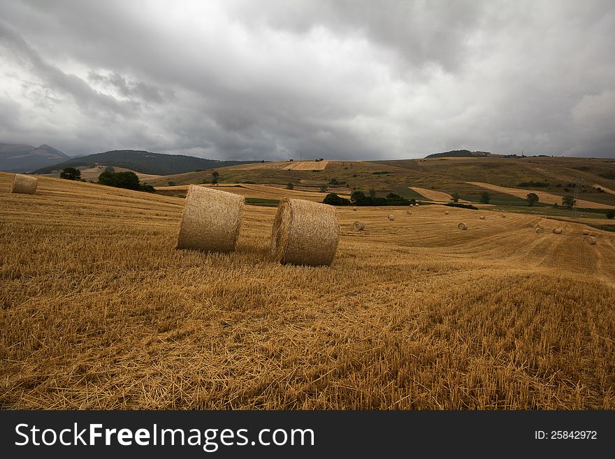 Hay balls in the umbria field