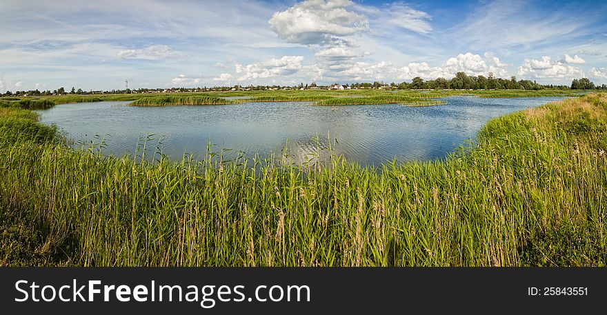 Rural landscape pond with grass