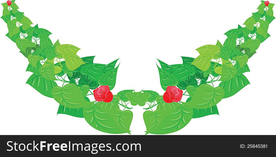 Fresh green leaves and roses isolated on white background