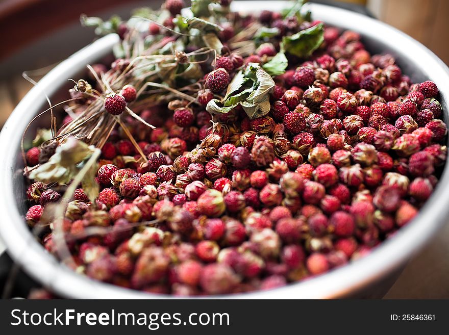 Basket With Wild Strawberries