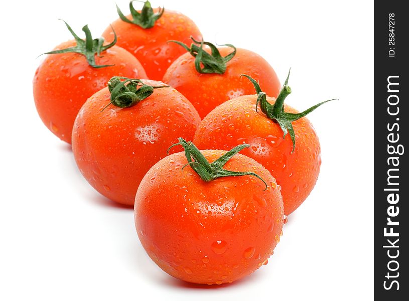 Arrangement of Fresh Tomatoes with droplets isolated on white background