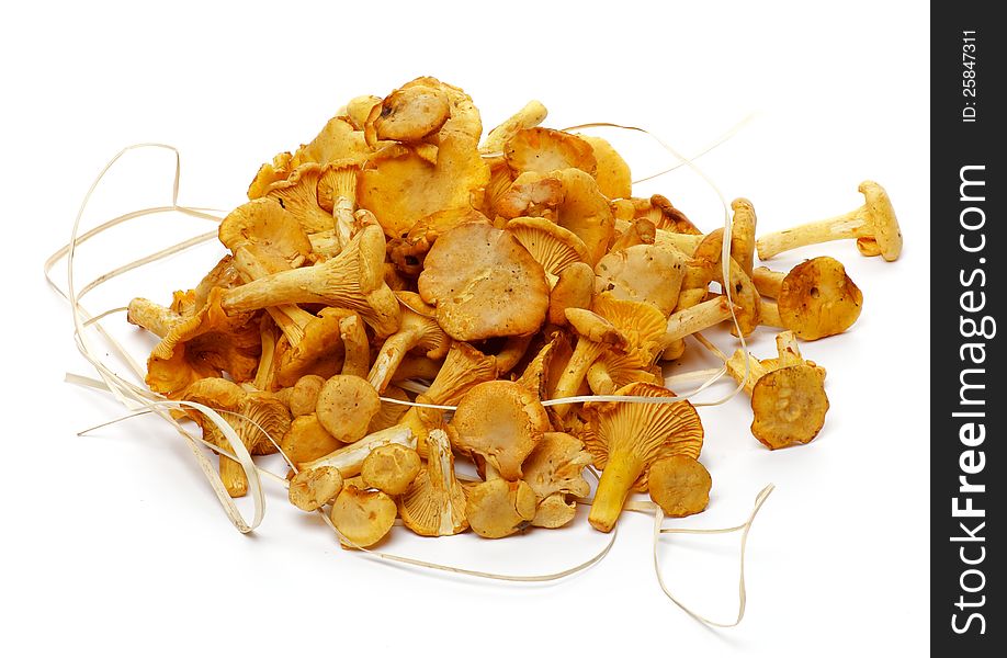 Heap of Fresh Raw Chanterelle Mushrooms