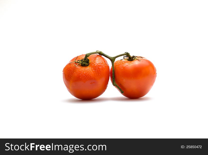Tomatoes with water drop on white background. Tomatoes with water drop on white background