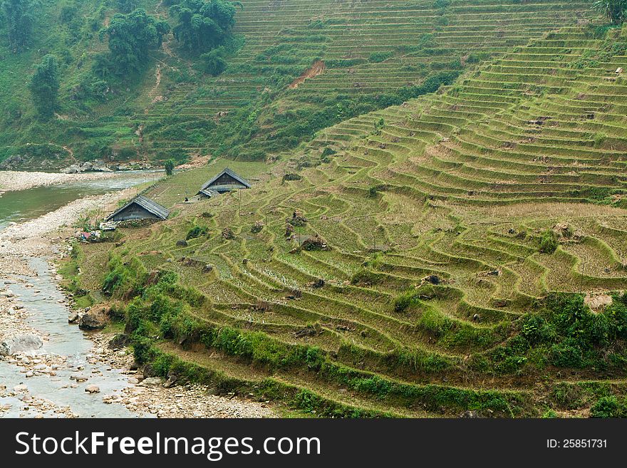 Beautiful and green scenery of river and rice terraces in Vietnam. Beautiful and green scenery of river and rice terraces in Vietnam.