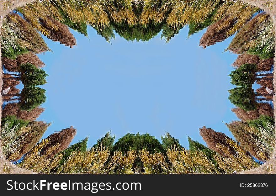 Greeting Card With Cedars And Flowers Reflecion