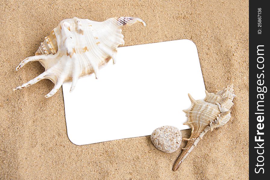 Holiday concept, blank paper on the beach with seashells. Holiday concept, blank paper on the beach with seashells