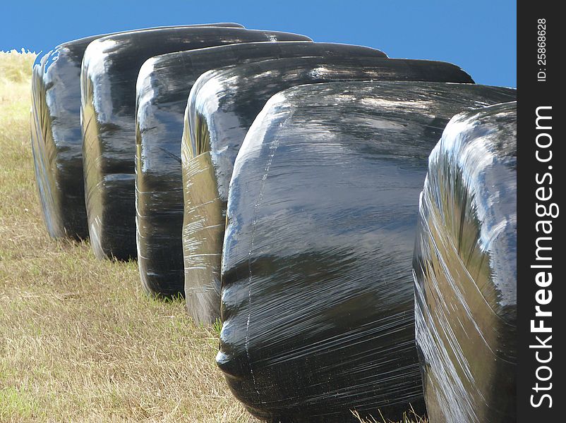 Gathering hay in the modern world