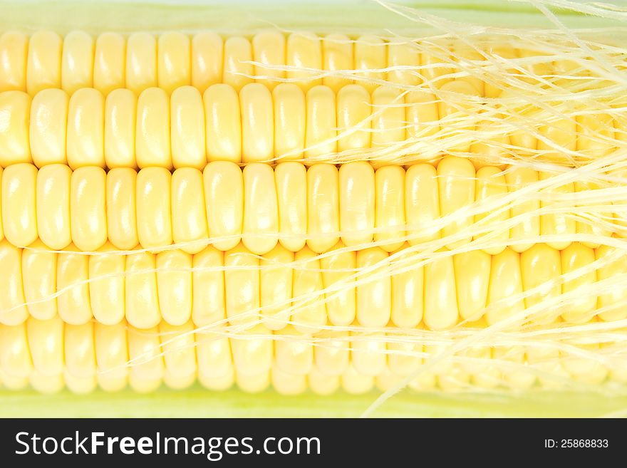 Fresh corn cob closeup background. Fresh corn cob closeup background