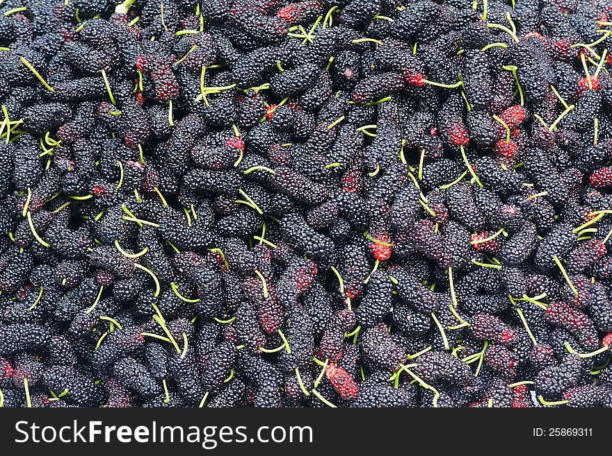The background of ripe mulberry fruits