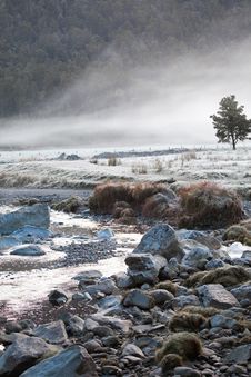 Fog In Autumn At Matheson Fox Glacier New Zealand Stock Images Fog In Autumn At Matheson Fox Glacier New Zealand Stock Images