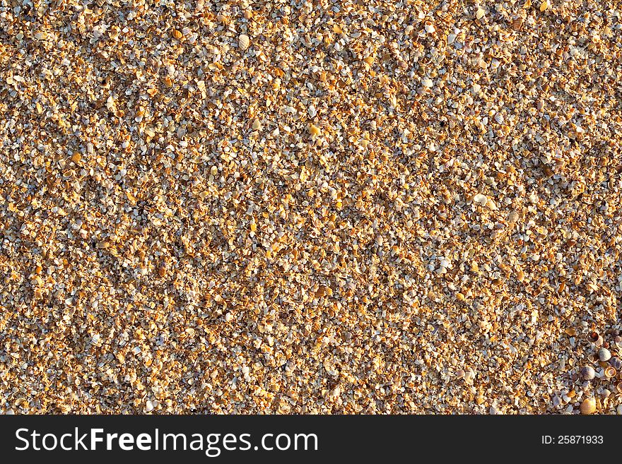 The surface of the beach covered with coquina. Background, texture. The surface of the beach covered with coquina. Background, texture