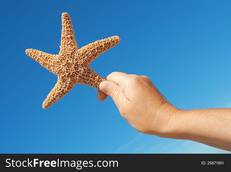 Starfish in his hand against the blue sky