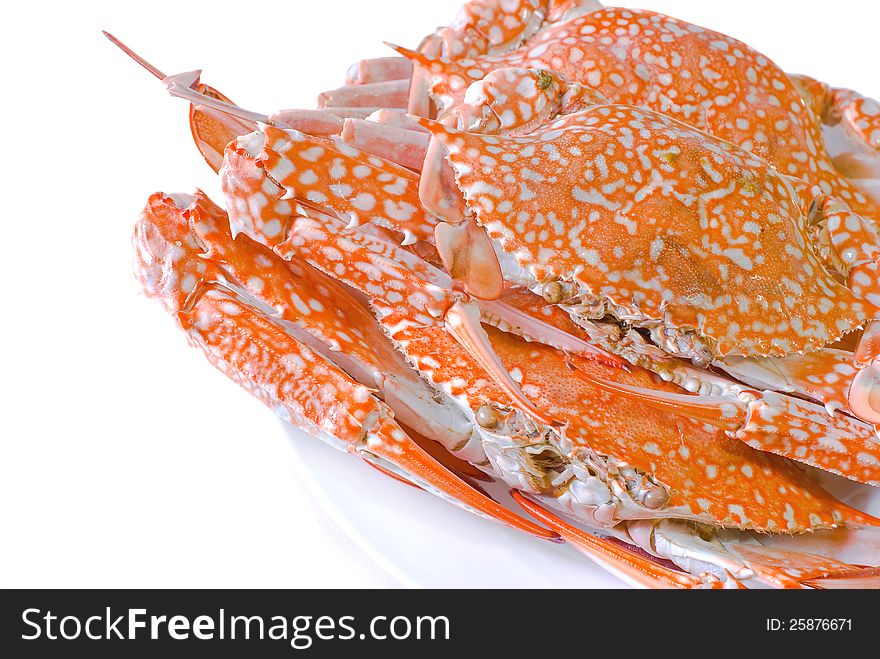 Steamed  crab in dish on white background. Steamed  crab in dish on white background