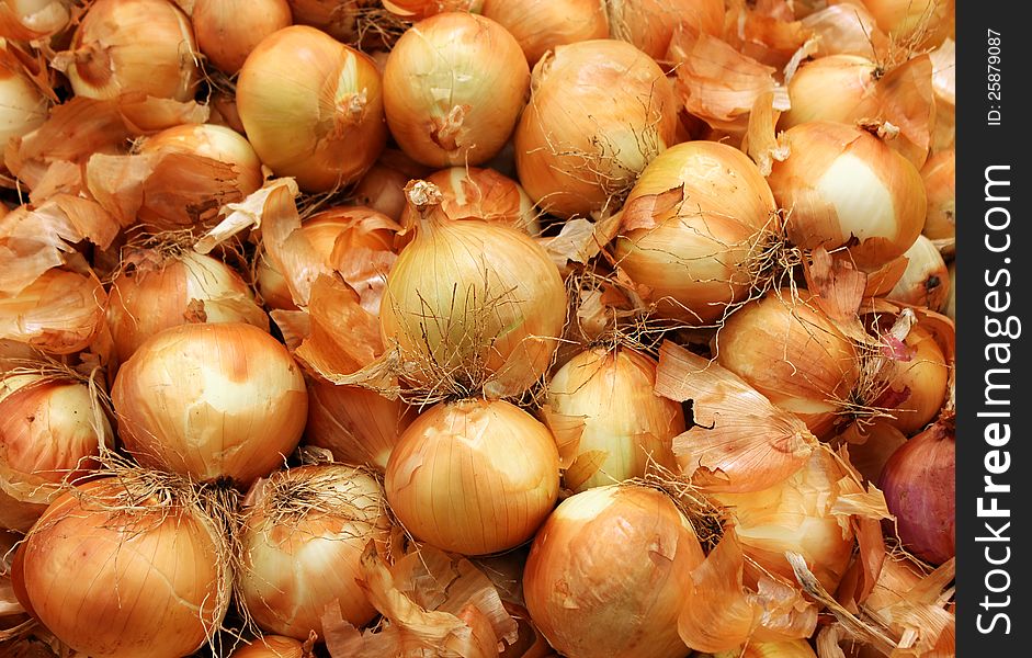 harvest of onions as agricultural background. harvest of onions as agricultural background