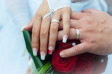 Wedding Rings Royalty Free Stock Photos Wedding Rings Royalty Free Stock Photos