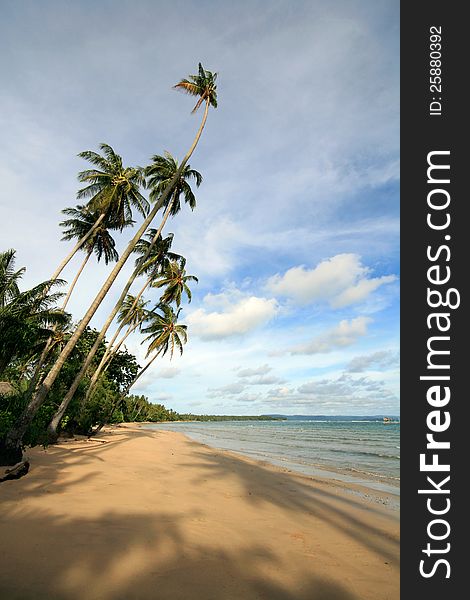 Palm trees at a deserted beach at Koh Maak, Thailand. Palm trees at a deserted beach at Koh Maak, Thailand.