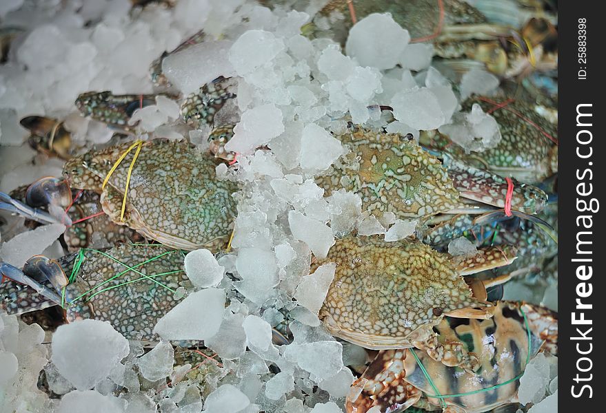 Fresh seafood Phe market, Rayong Thailand. Fresh seafood Phe market, Rayong Thailand.