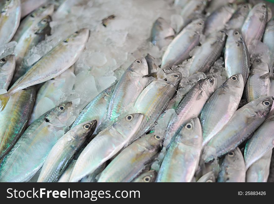 Fresh seafood Phe market, Rayong Thailand. Fresh seafood Phe market, Rayong Thailand.