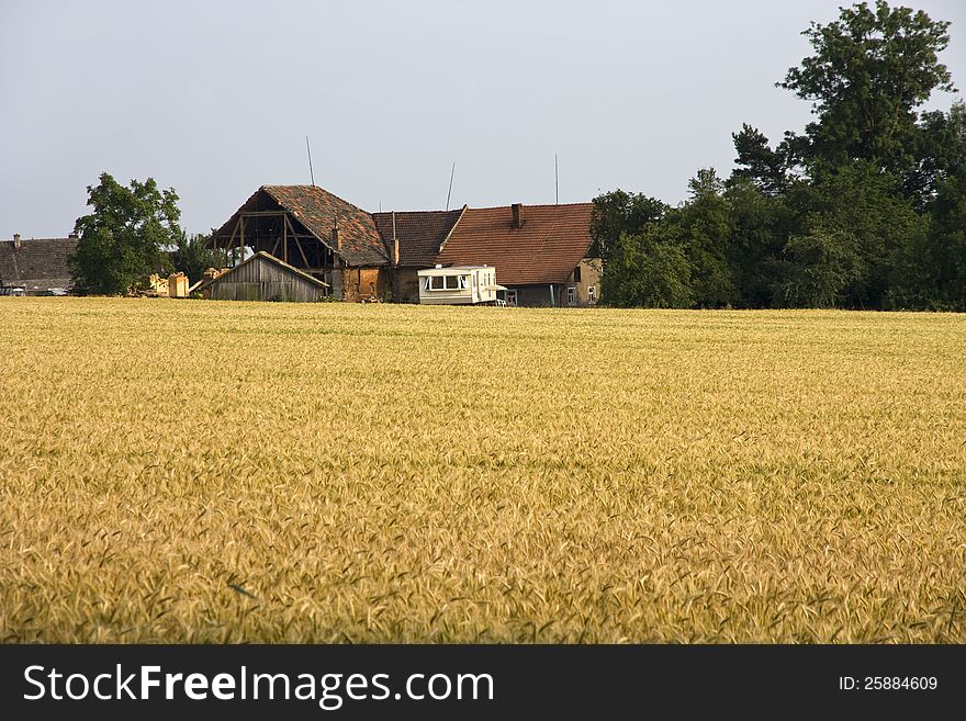 Farmhouse on the edge of the field. Farmhouse on the edge of the field