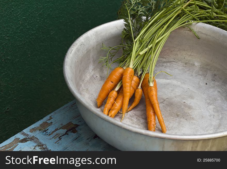 Some fresh young carrots with leaves in old metallic bowl on blue wooden behch. Some fresh young carrots with leaves in old metallic bowl on blue wooden behch