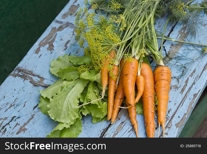 Fresh organic carrots, lettuce and fennel on blue wooden background. Fresh organic carrots, lettuce and fennel on blue wooden background
