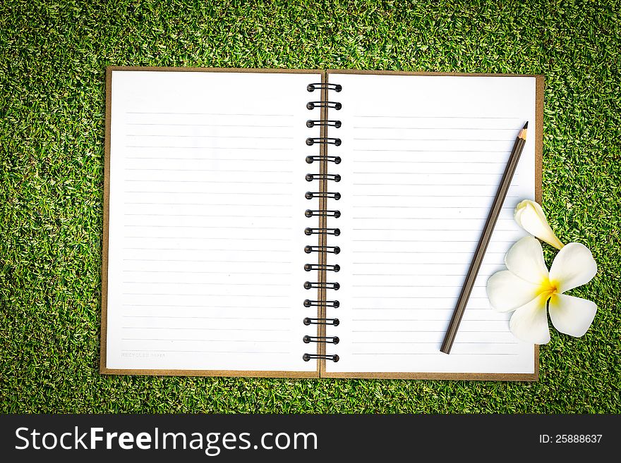 Notebook in green grass with frangipani flower
