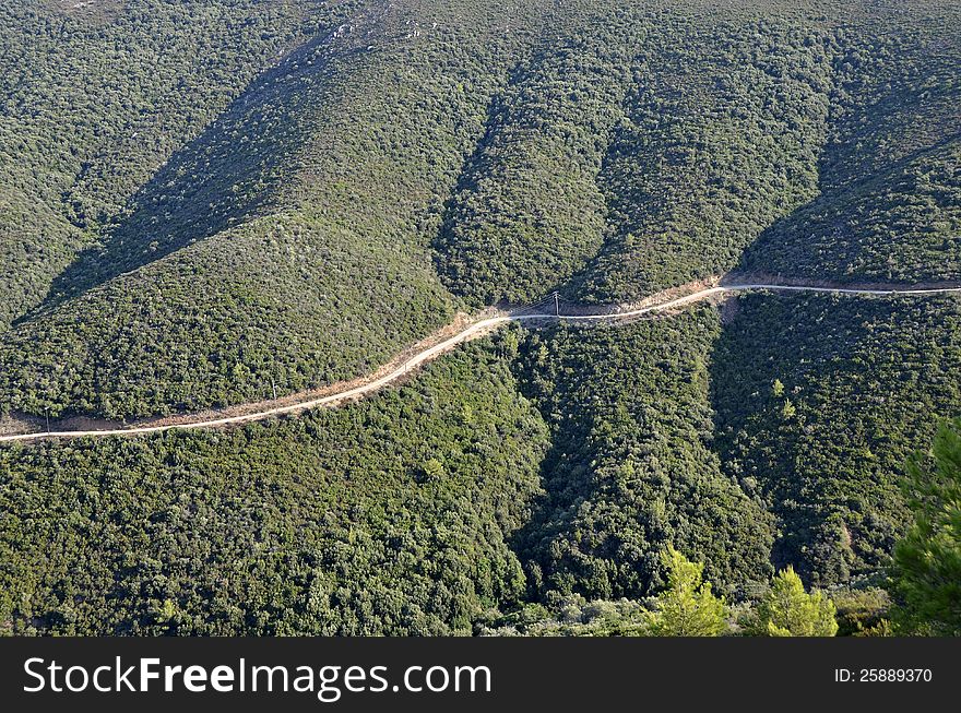 Generic pine forest and road in Halkidiki, Greece. Generic pine forest and road in Halkidiki, Greece