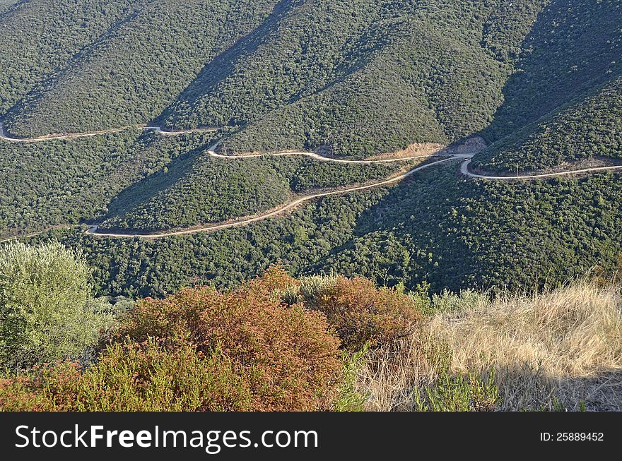 Generic pine forest and road in Halkidiki, Greece. Generic pine forest and road in Halkidiki, Greece