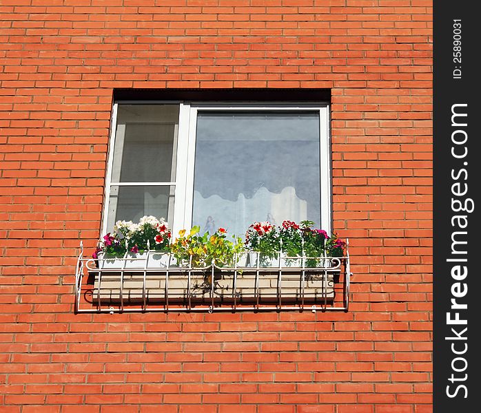 Window photo with beautiful bright flower and greens on window sill. Window photo with beautiful bright flower and greens on window sill