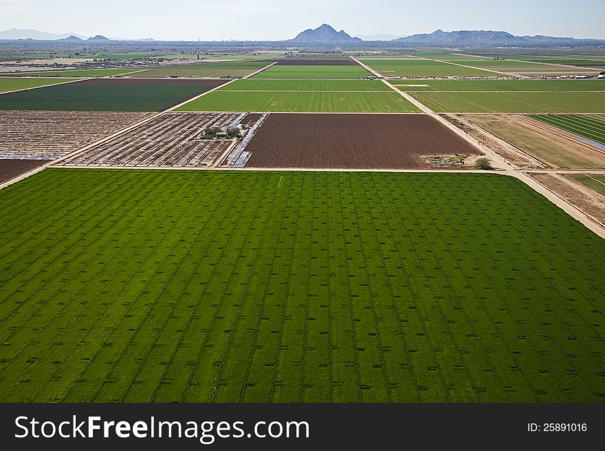 Agricultural fields near Phoenix, Arizona. Agricultural fields near Phoenix, Arizona