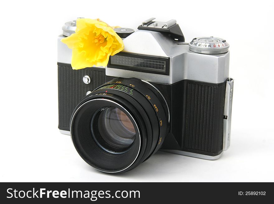 Old film camera on white with yellow narcissus