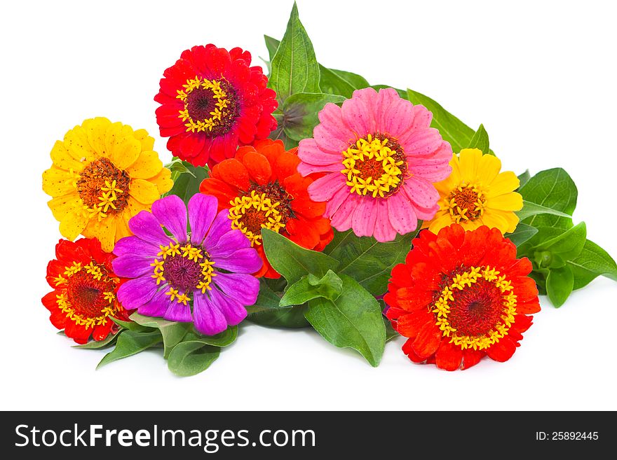 Bouquet of bright, beautiful flower on a white background. Bouquet of bright, beautiful flower on a white background.