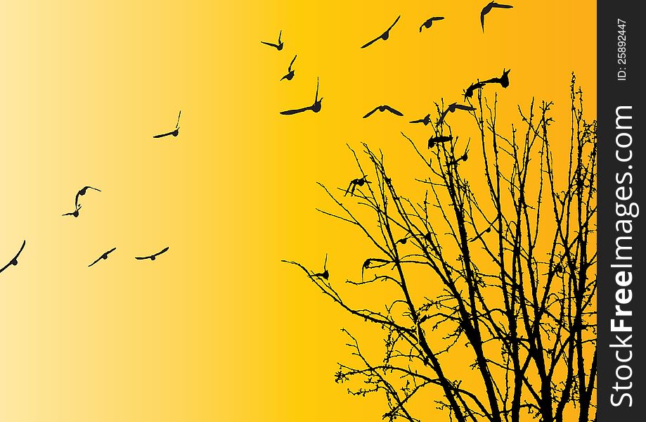 Flying birds  background for your text