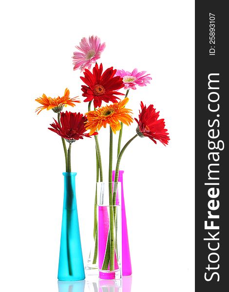 Colorful gerbers flowers isolated in round vase with copyspace