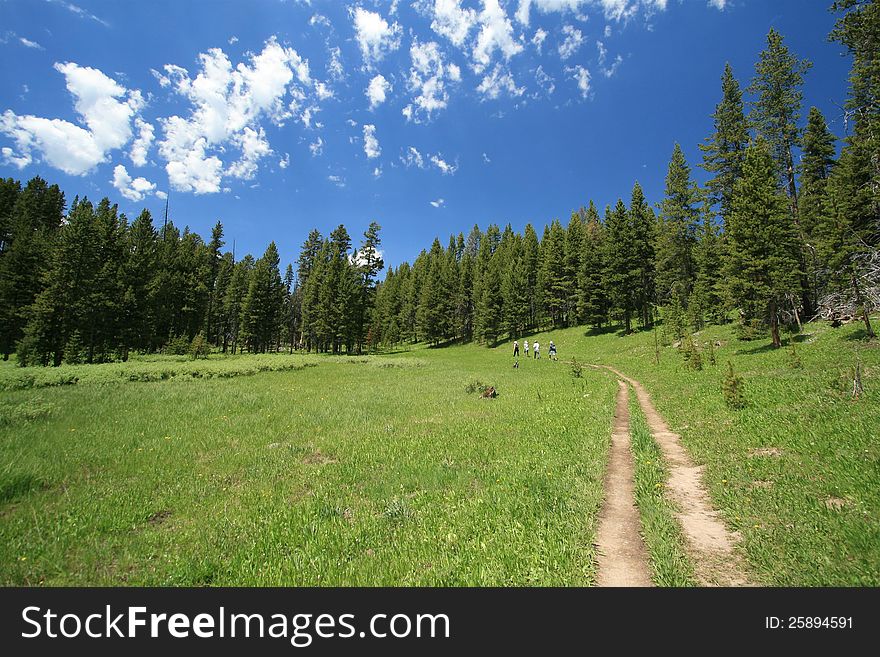 Hikers on trail passing through a meadow at Yellowstone National Park. Hikers on trail passing through a meadow at Yellowstone National Park