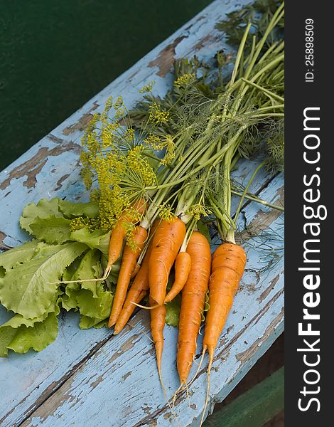 Fresh carrots  with leaves, lettuce and fennel  on blue woodenbackground. Fresh carrots  with leaves, lettuce and fennel  on blue woodenbackground