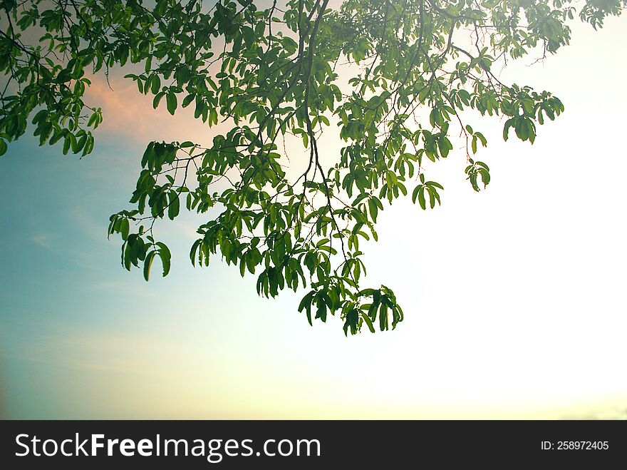 the sky on a bright day on summer