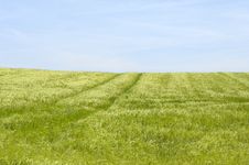 Green Field Stock Image Green Field Stock Image