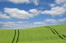 Green Field And Clouds Royalty Free Stock Image Green Field And Clouds Royalty Free Stock Image