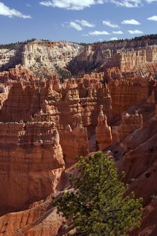 Bryce Canyon Hoodoos Stock Photos Bryce Canyon Hoodoos Stock Photos