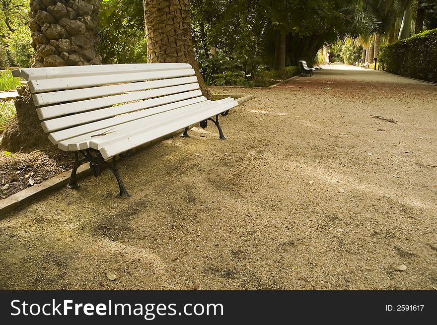 Old white bench in the botanical garden in Valencia. Old white bench in the botanical garden in Valencia.