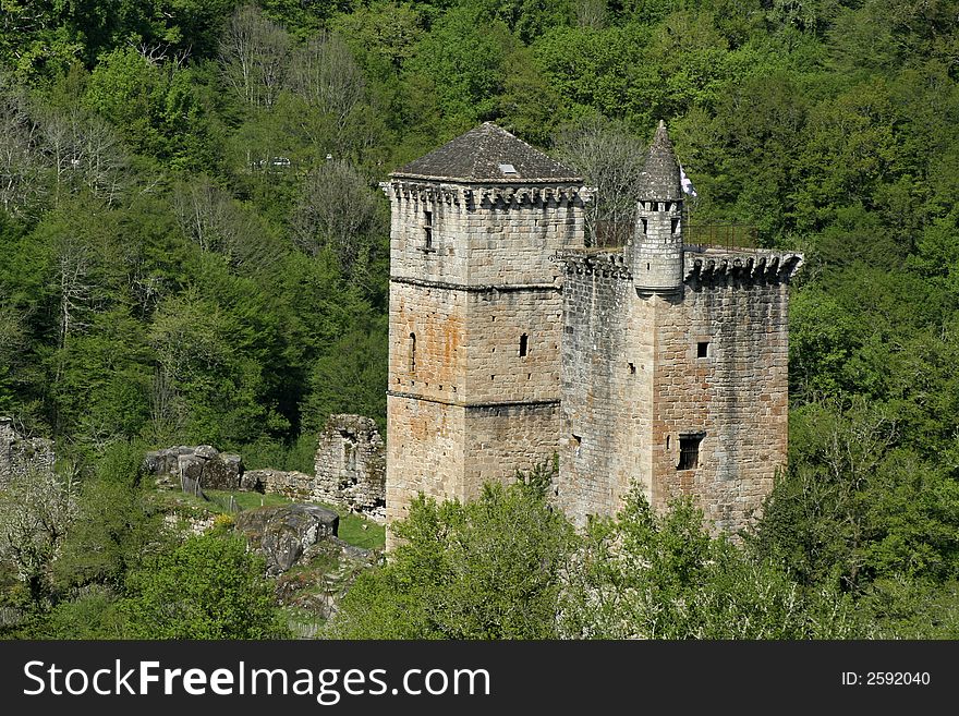 Mediaval castle in forest