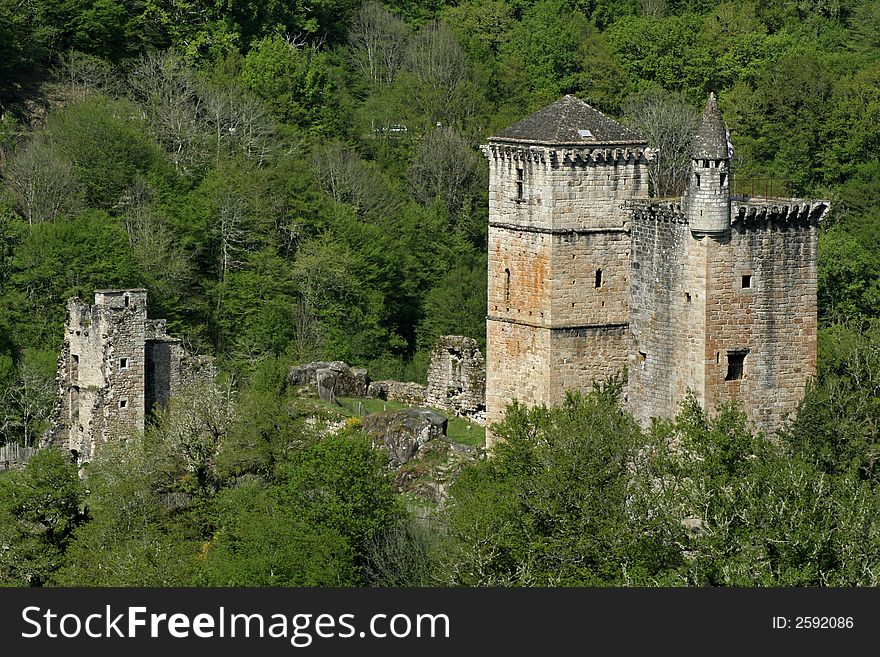 Mediaval castle in forest