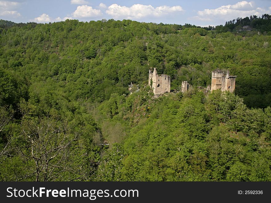 Mediaval Castle In Forest