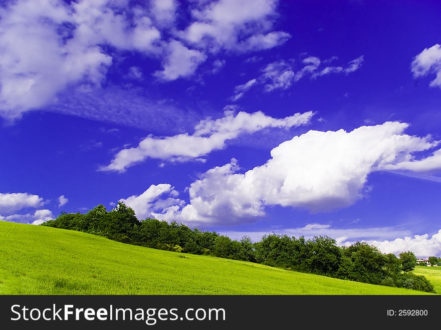 Yellow field and a vivd blue sky in this postcard style photo from Umbria